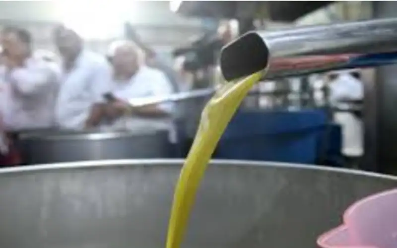 المعاصر تبدأ استقبال محاصيل الزيتون الأربعاء