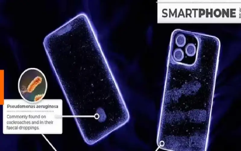 يحوي فضلات الصراصير علماء يحذرون مستخدمي