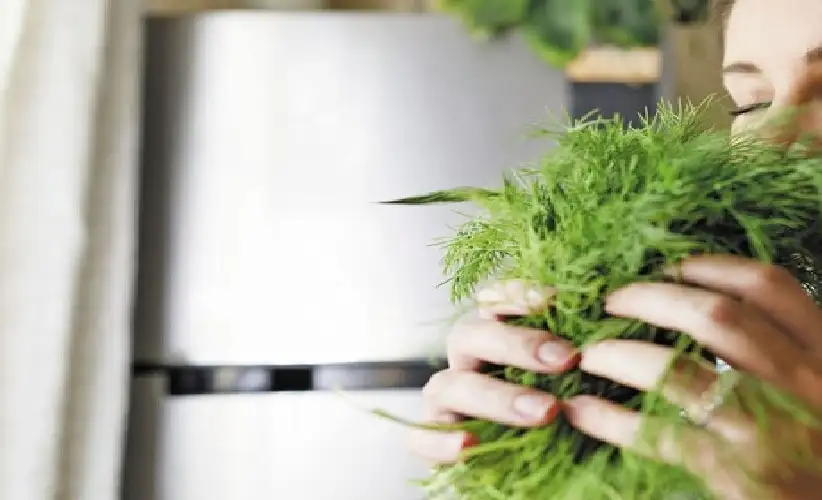 حاسة الشم لدى البشر ليست أبطأ