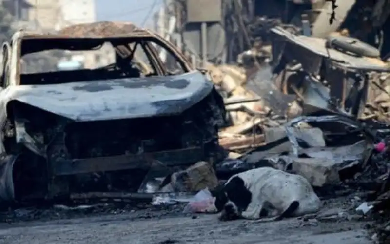 حكومة لبنان: أمامنا مصير غزة إن