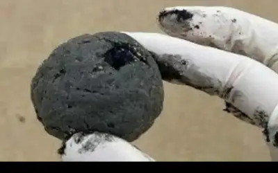 كرات سوداء غامضة تغلق شاطئ كوجي