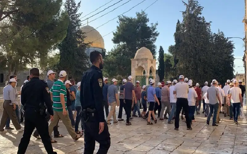 في أول أيام عيد العرش.. عشرات