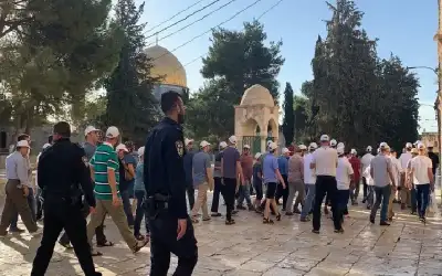 في أول أيام عيد العرش.. عشرات