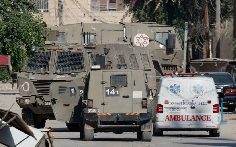 خلال قطفها ثمار الزيتون.. استشهاد مسنة