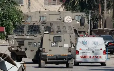 خلال قطفها ثمار الزيتون.. استشهاد مسنة