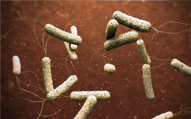 الصحة العالمية تعرب عن مخاوفها بعد