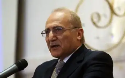العناني: تحديات الأردن ليست خارجية فقط