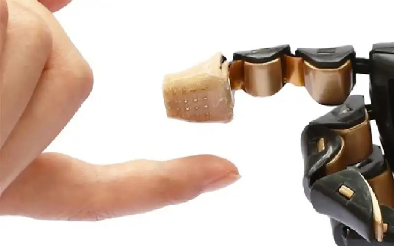 علماء يرسمون أول أطلس للجلد البشري