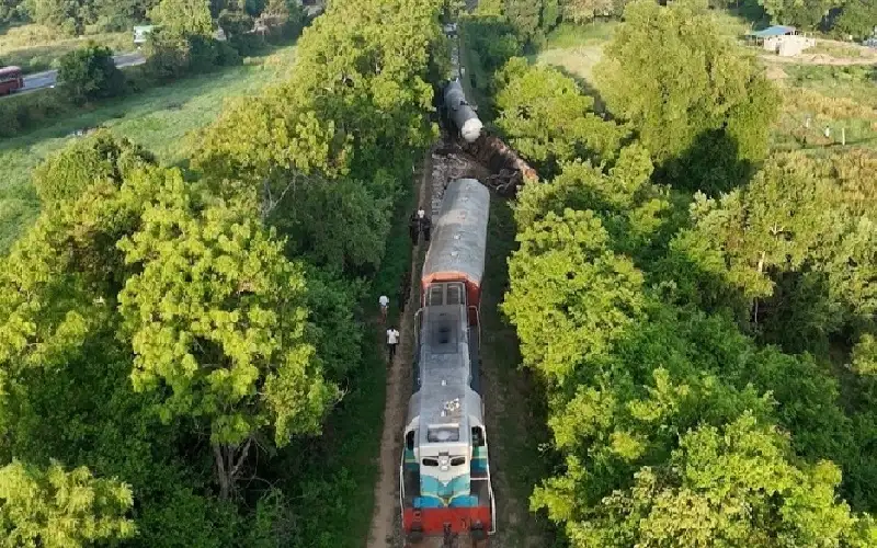 في سريلانكا.. قطار يدهس فيلين