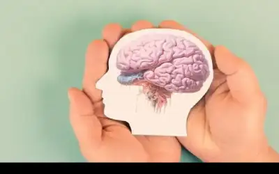 العلماء الروس يكتشفون مواد نباتية قد