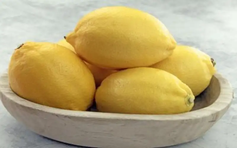 وزير الزراعة: توجه لعدم استيراد الليمون