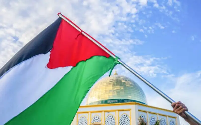 تقرير أممي: معدل الفقر في فلسطين