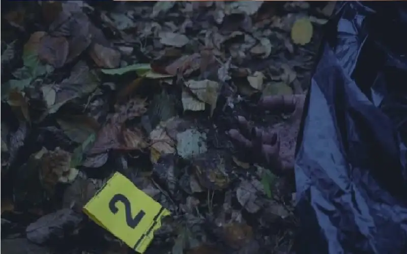 قطعوه أشلاء ورموه في البئر.. جريمة