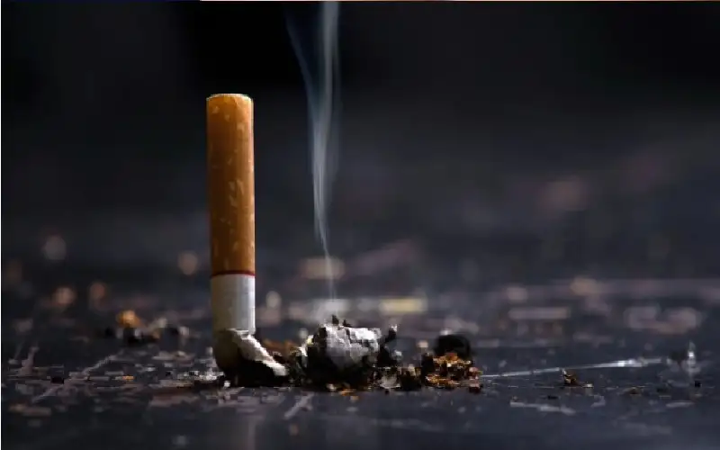 عمرها 500 عام.. بقايا بشرية تكشف