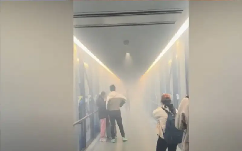 فيديو: ركاب مذعورون يفرون من جسر