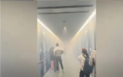 فيديو: ركاب مذعورون يفرون من جسر