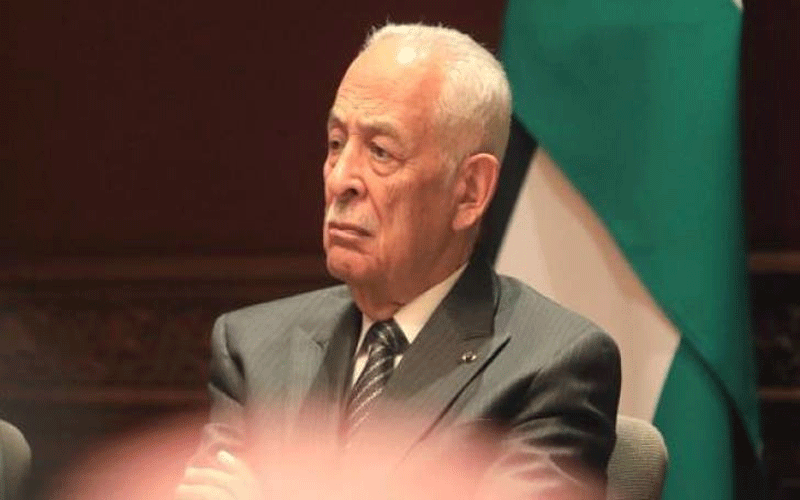 العيسوي يلتقي وجهاء وممثلين عن أبناء