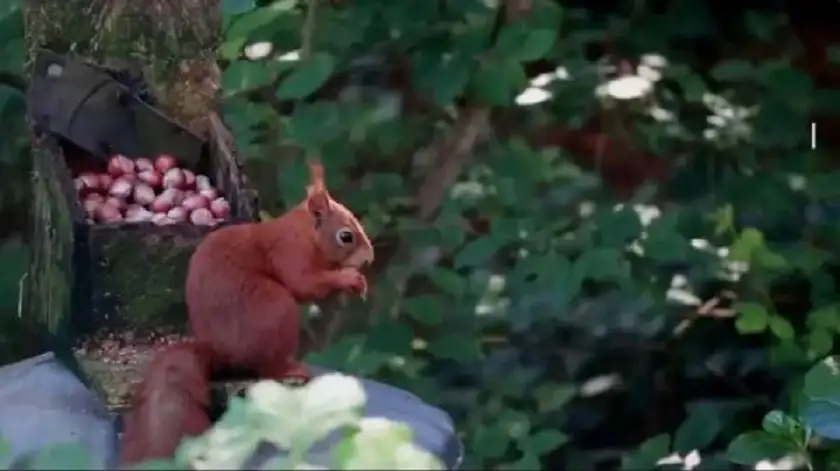 العيون الذكية .. الصين تطور نظام