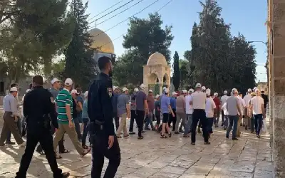 مئات المستوطنين يقتحمون المسجد الأقصى
