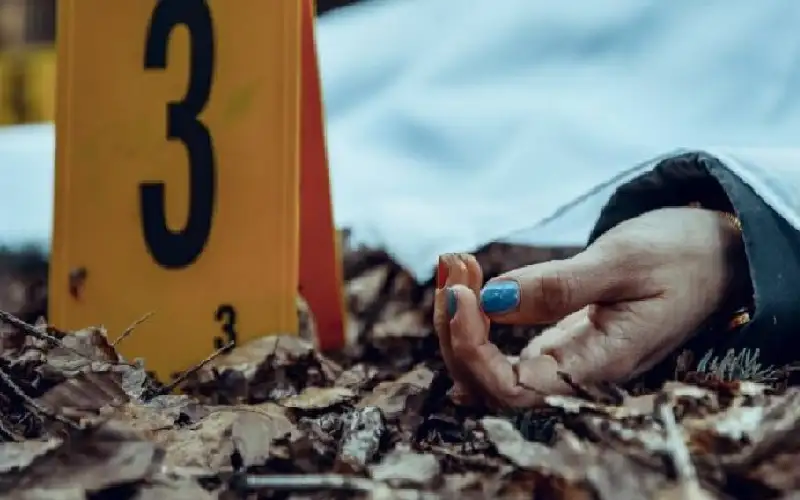 سوريا.. يقتل جارته بدلا من الكلب