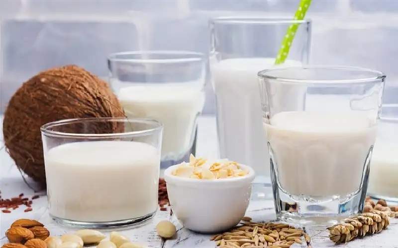 ما الفرق بين الحليب النباتي والحيواني؟