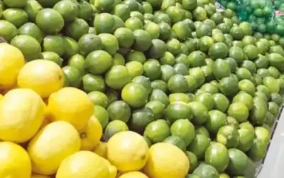 وزير الزراعة: أوقفنا استيراد الليمون