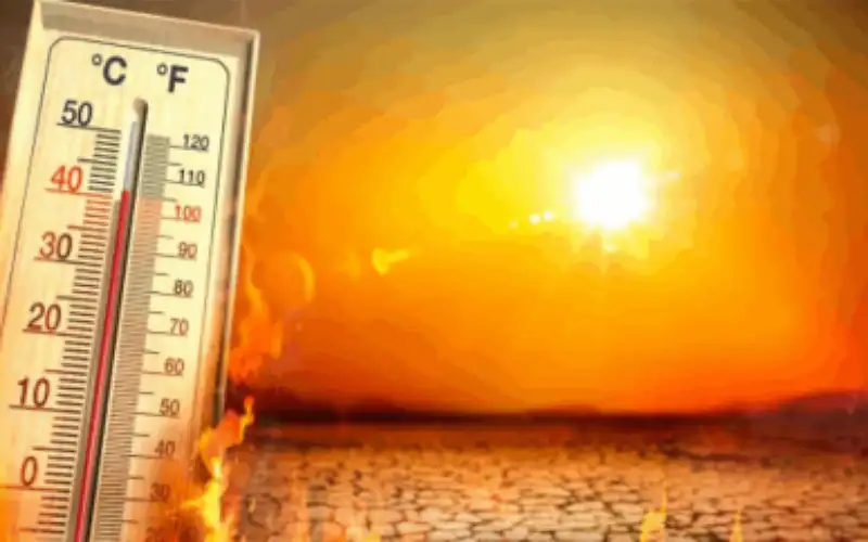 تقرير خطير يكشف .. العالم في