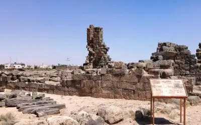 افتتاح البازار الإنتاجي في موقع أم