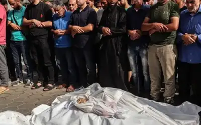 أكثر من ألف عائلة بغزة مسحها