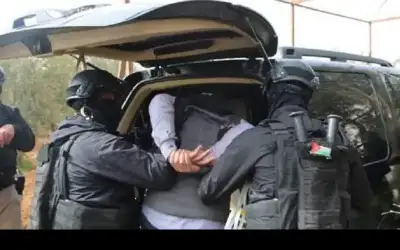 ضبط خلية تتعامل مع عصابات إقليمية