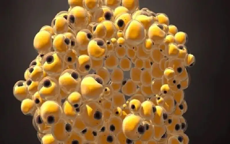 دراسة جديدة تحدث خرقا في علاج