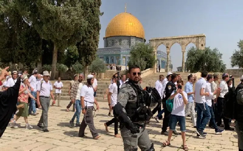 هذا ما يفعله المستوطنين اليهود في