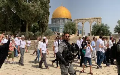 هذا ما يفعله المستوطنين اليهود في