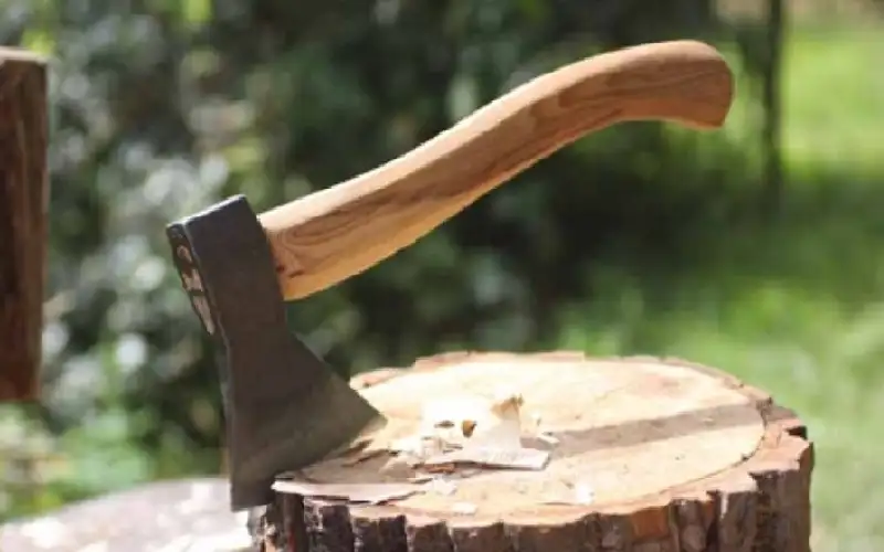 أصابته فقتلها بـالفأس.. شجار زوجين ينتهي