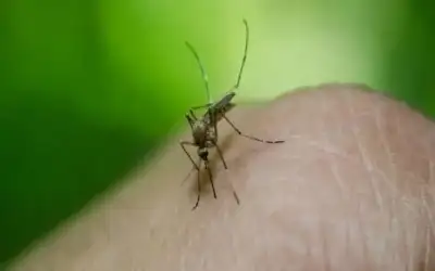 تغير المناخ.. كيف يؤثر على زيادة