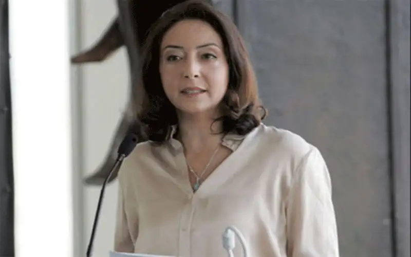 الأميرة ريم العلي : الصحفيون يقتلون