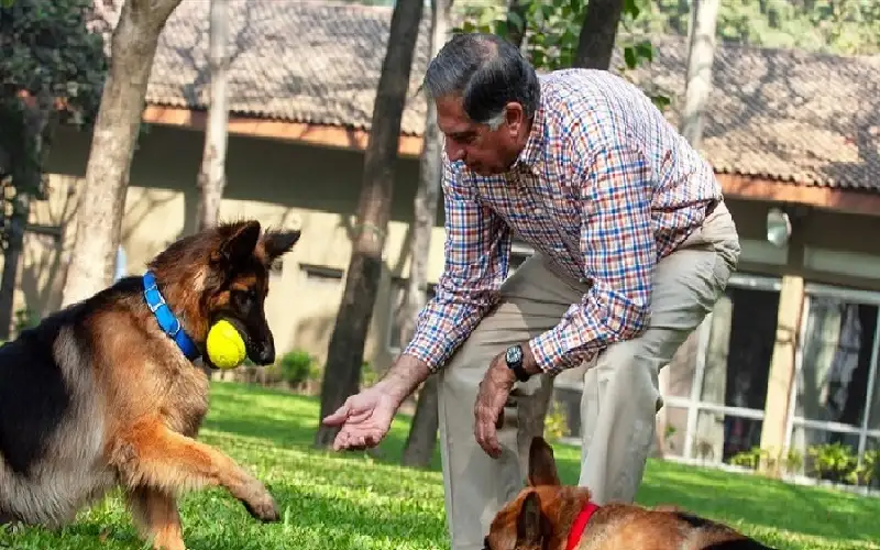 ملياردير هندي يوصي بثروته لكلبه وخادميه