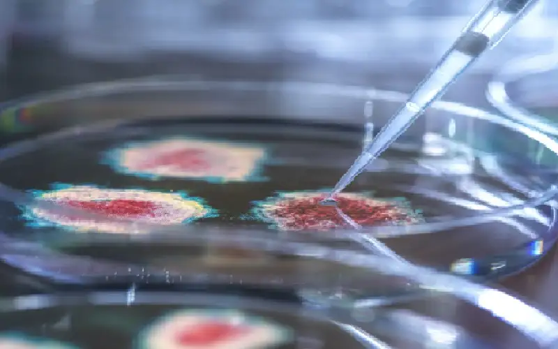 بفضل قطة.. اكتشاف فيروس غير مسبوق