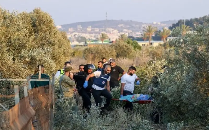 ثلاثة شهداء وخمسة جرحى في عدوان