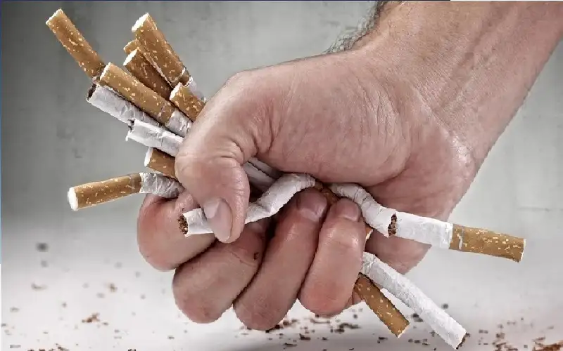 دراسة تكشف النقطة الحرجة في تاريخ