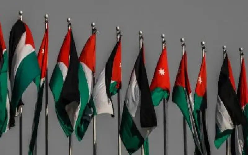 الأردن: نتعامل ضمن قواعد الاشتباك العسكرية