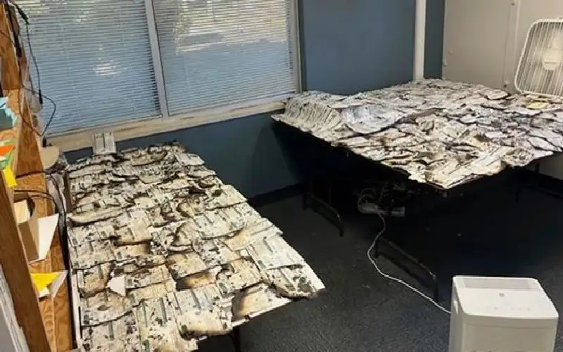 نيران الصناديق الانتخابية.. هل تدخل الانتخابات