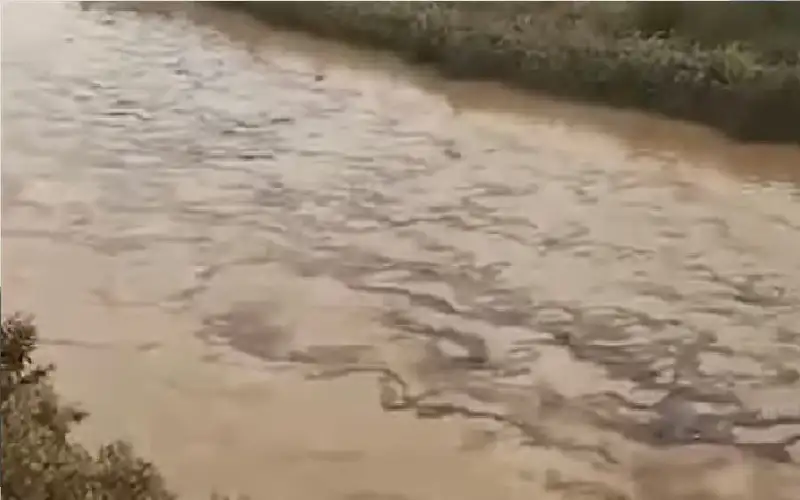 تسرب زيتي إلى نهر دجلة في