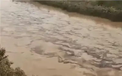 تسرب زيتي إلى نهر دجلة في