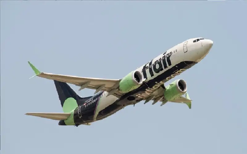 إوزة تكسر زجاج طائرة بعد إقلاعها