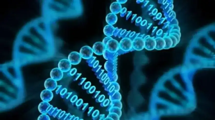 ابتكار جديد .. تخزين البيانات في