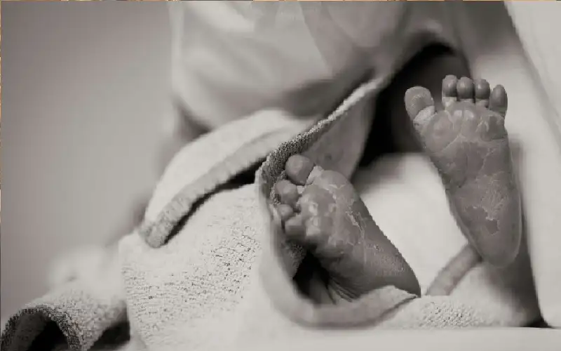 وقف لحراسته.. كلب يقود الشرطة إلى