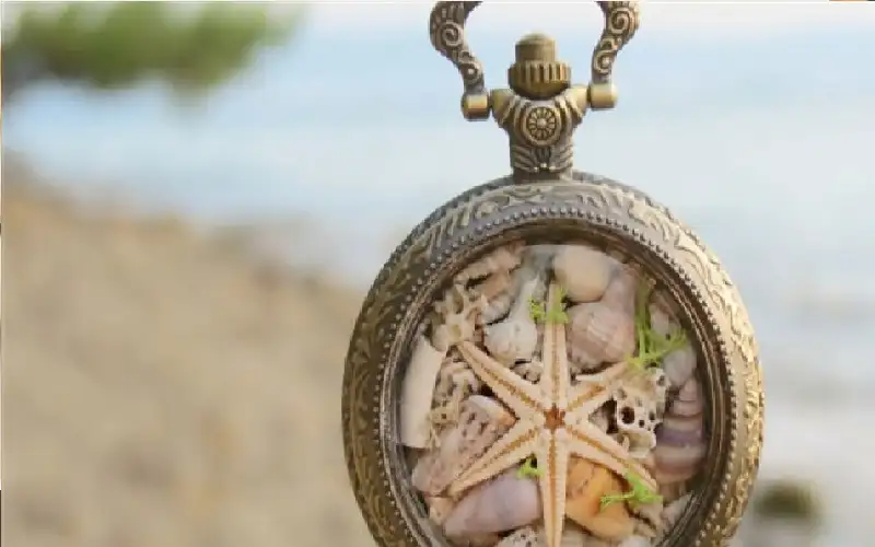 فتاة تبيع قمامة البحر مثل المجوهرات