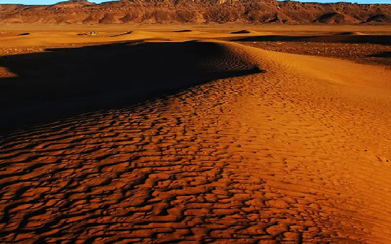 في ملف الصحراء المغربية: العاهل المغربي