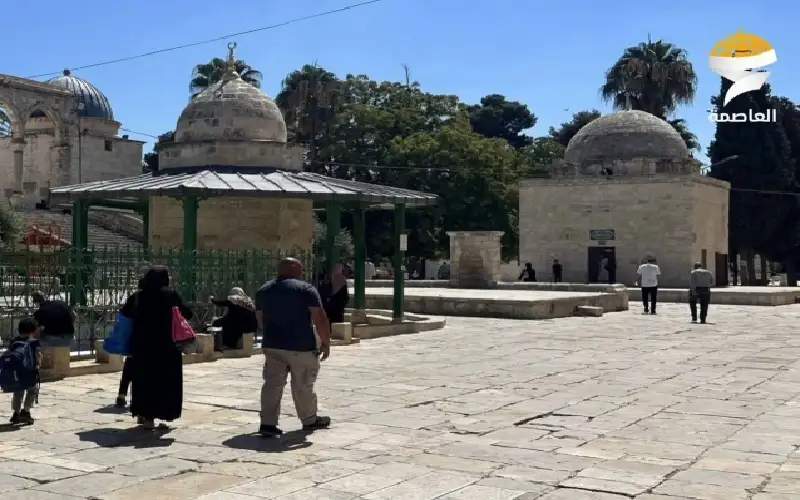 اعتقال الناشط المقدسي أبو دياب.. دعوات